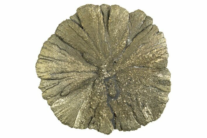 Radiant Pyrite Sun - Sparta, Illinois #342566